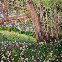 painting of a eucalyptus grove