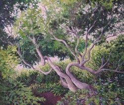 oil painting of California rhododendron