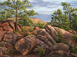 acrylic painting of rocky gulch with trees in evening light in Spring Gulch, Colorado