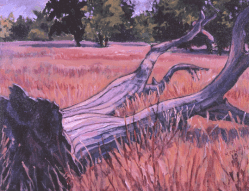 oil painting of huge tree branches on grassy ground at Sycamore Grove Park in Livermore