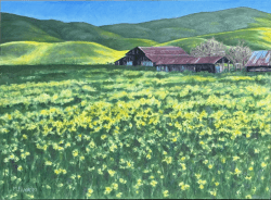 oil painting with wild mustard in bloom in North Livermore